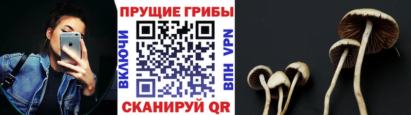 мега вход Среднеколымск Псилоцибиновые грибы прущие грибы купить наркоту